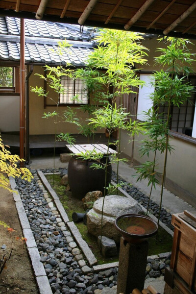植物你的家