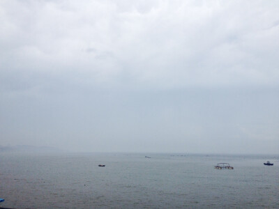 灰青入夏晨，雨露润花芯。早安。