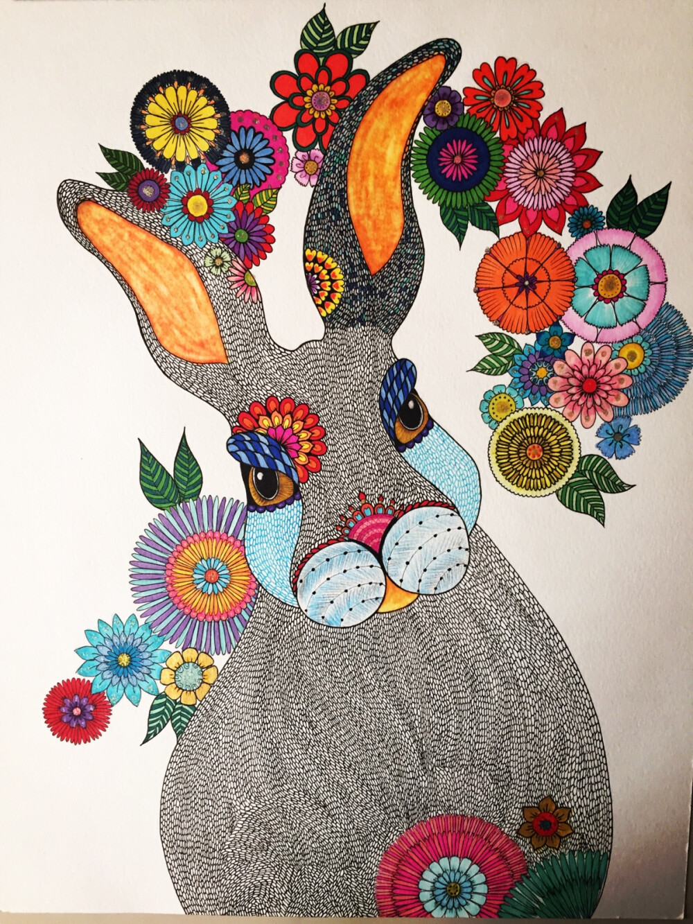 秘密花园涂色兔子图片