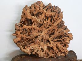 旃(zhān)檀，又名檀香、白檀，是一种古老而又神秘的珍稀树种，收藏价值极高。檀香木香味醇和，历久弥香，素有&amp;quot;香料之王&amp;quot;之美誉。