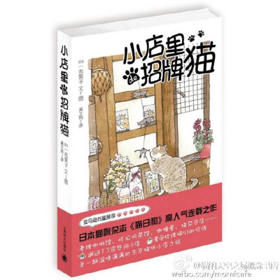 小店里de招牌猫