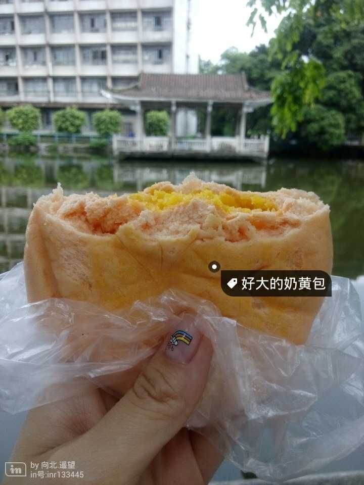 广州#黄埔古港 好大好香的奶黄包，才￥1.8，吃了一个就已经很饱了⊙▽⊙