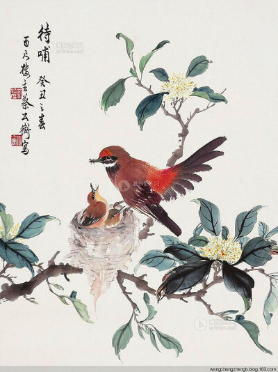 蔡公衡（1922-1978）：近现代画家，字木量，号绍度，广东揭阳人。毕业于南中美术学院及岭南艺苑。山水承岭南画派创始人高剑父真传：花鸟虫兽则得赵少昂、赵祟正两先生指授，有“全能画家”、“香港画坛一巨擎”等盛…