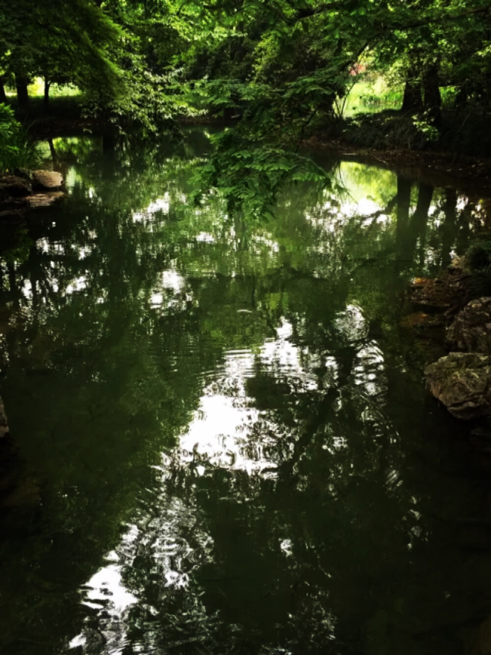 西湖边上天然氧吧—太子湾公园。