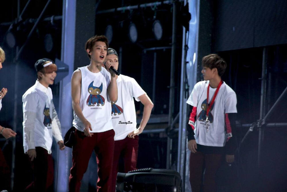 EXO 相爱吧！WE ARE ONE! KRIS LUHAN LAY张艺兴 XIUMIN金珉硕 CHEN金钟大 TAO K SUHO金俊勉 KAI金钟仁 D.O度庆洙 BAEK HYUN边伯贤 SEHUN吴世勋 CHAN YEOL朴灿烈 from.Alexia孙承冬 图源见logo