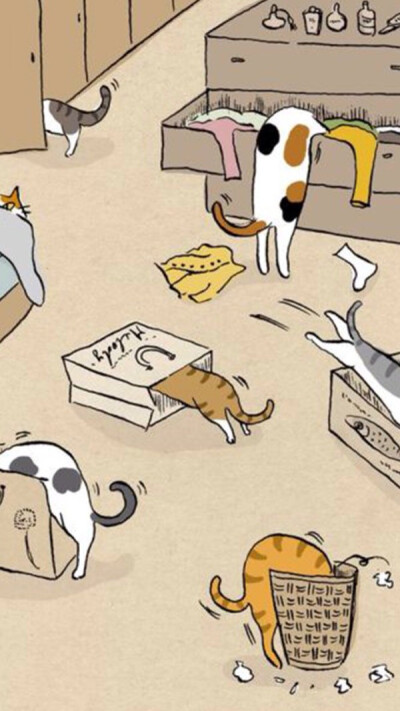 猫猫壁纸