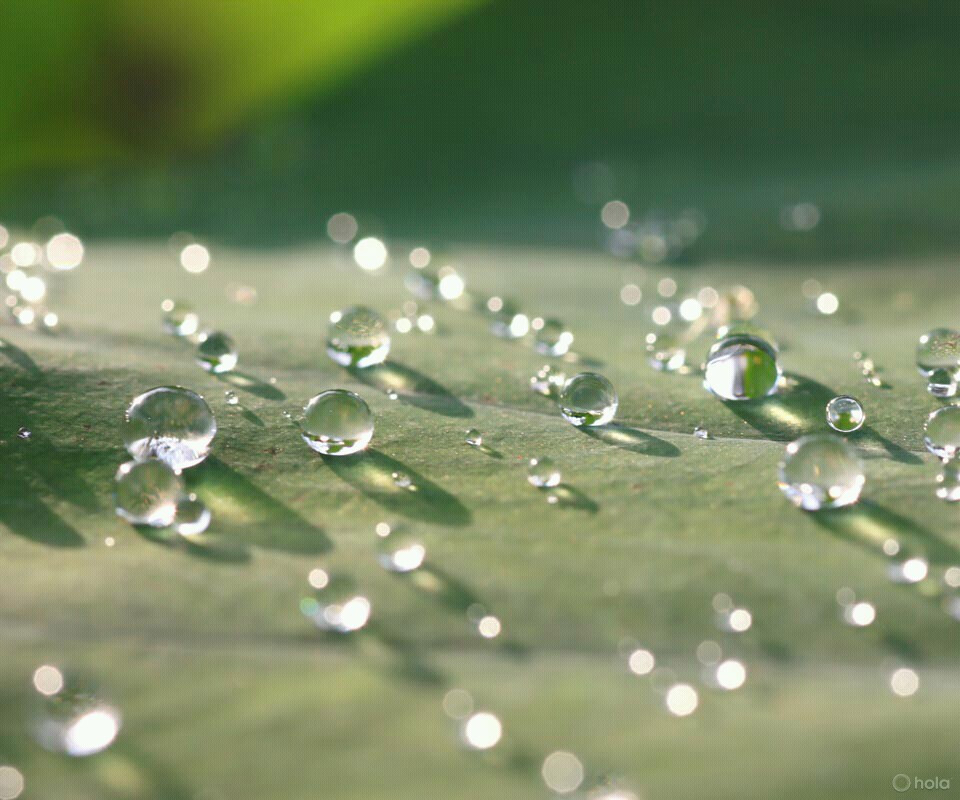 雨