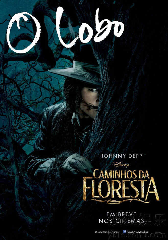 《魔法黑森林》（Into the Woods）于2014年12月25日上映，是由迪士尼电影公司出品的歌舞电影，涉及多个童话故事。约翰尼饰演“小红帽”故事部分的大灰狼。