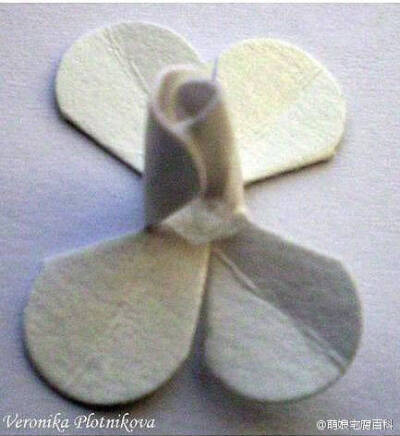 【硬纸片玫瑰】简单漂亮！