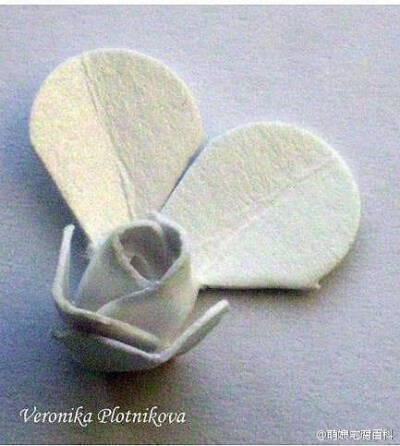 【硬纸片玫瑰】简单漂亮！