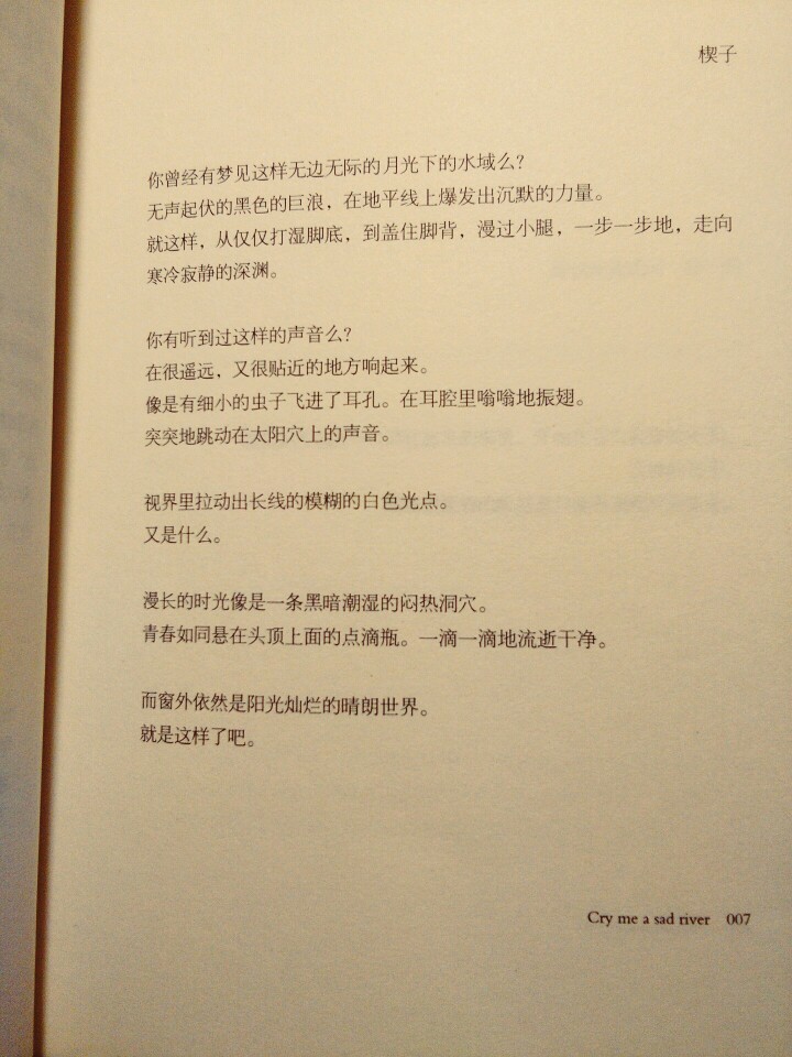 黑色巨浪漫过小腿，细小昆虫在耳腔振翅，视线模糊，时光和青春一滴一滴流逝干净，而窗外依然是阳光灿烂的晴朗世界，就是这样了吧。《悲伤逆流成河》郭敬明。