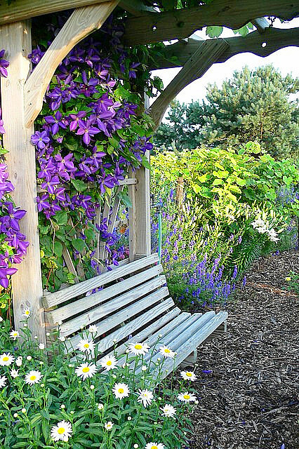 好美腻的花园喔和心爱的宝贝的人儿一起看着眼里的风景慢慢变老吧