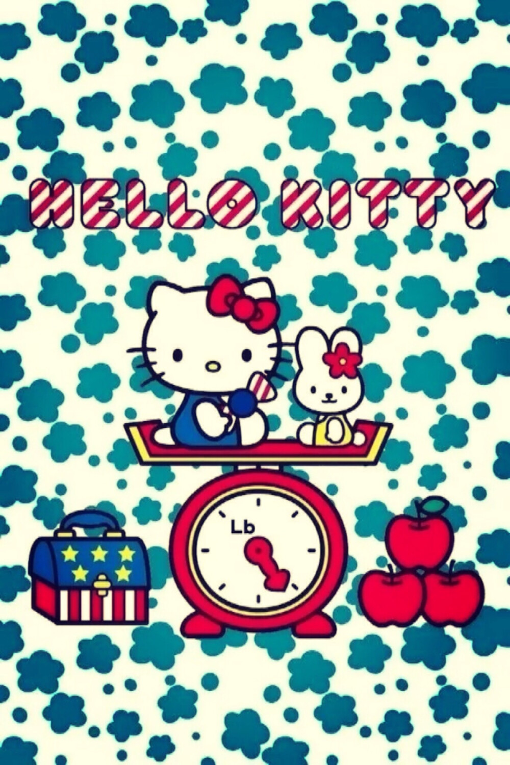 kitty是只胖猫咪~