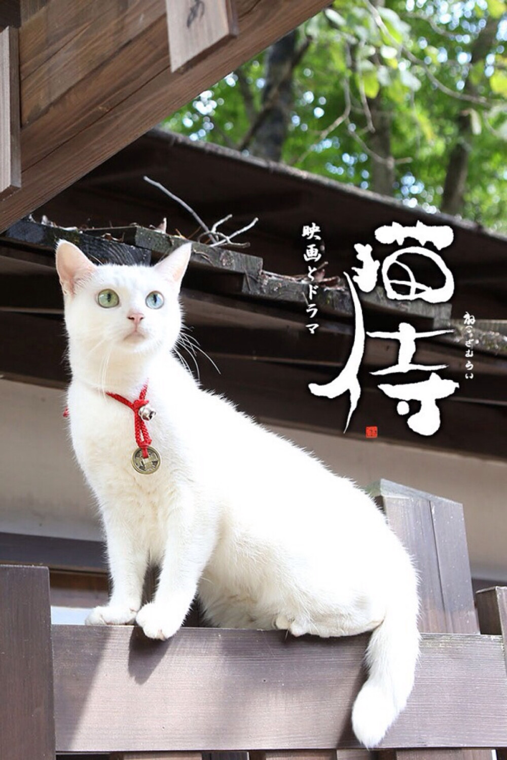 日本 电影 猫侍 猫 可爱 壁纸 海报