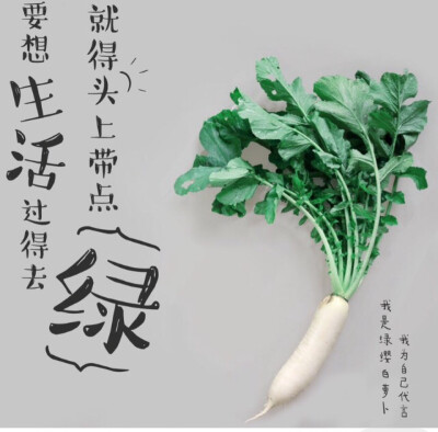 生活帶點綠