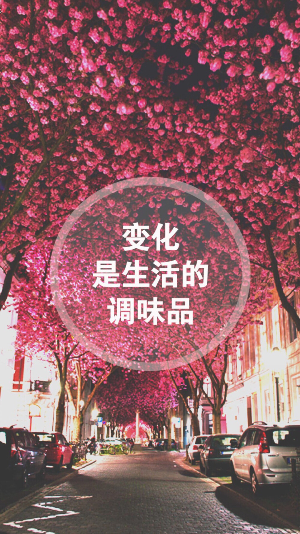 网络手机壁纸 侵删