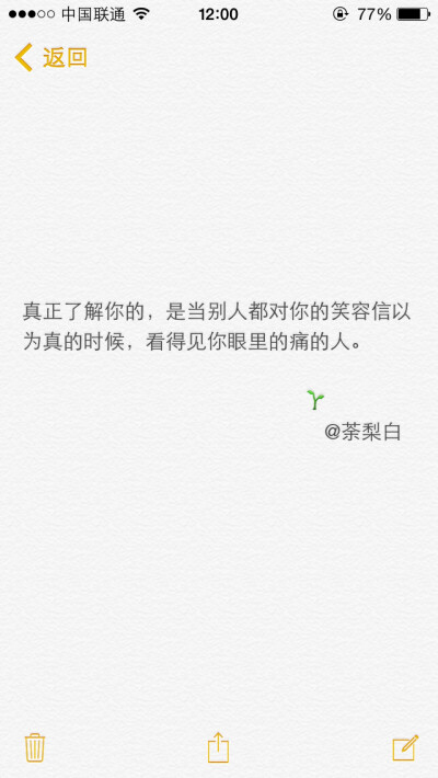 备忘录文字。真正了解你的，是当别人都对你的笑容信以为真的时候，看得见你眼里的痛的人。