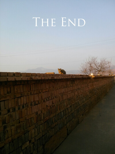 The End