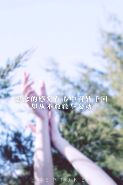 想念的感觉。 蓝桉【原创 自制 壁纸 背景 文字】（禁一切）