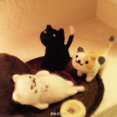owl【自己动手】#手游-猫咪收集-ねこあつめ# 一位叫做yuyoyuyo的小伙伴用羊毛毡戳的各种猫咪，简直萌爆！