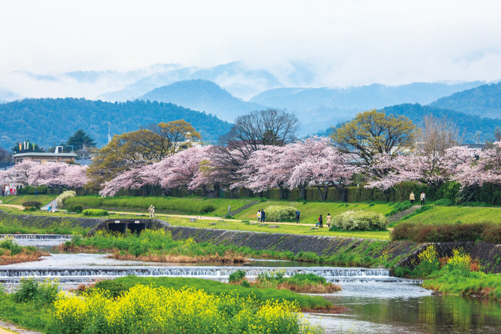 葵橋～北山大橋の賀茂川