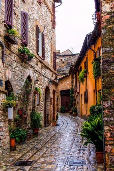 Spello, Umbria, Italy。意大利翁布里亚斯佩罗。有着田园诗般的乡村和山野，风景如画的翁布里亚被誉为“意大利的绿色心脏”。而斯佩罗本是非常素朴的中世纪小城，和翁布里亚其他城市差不多，石头是绝对的主角。斯佩…