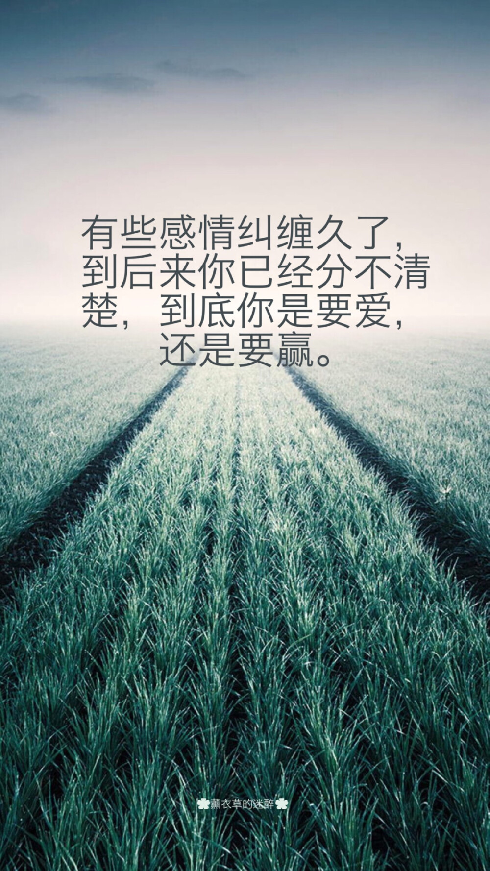 #自制壁纸#苹果6高清壁纸，iPhone 6 plus高清壁纸，文字，句子，告白，爱情，励志，情书，阳光，语录，温暖人心的治愈系语录，手写心情，手写爱情，唯美。