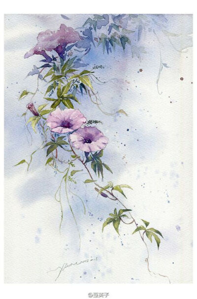 水彩花卉·手绘·插画·清新·键盘壁纸·手机壁纸·出处画师豆荚子侵删致歉