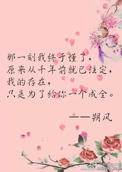 【化情为骨】花千骨◆感动人心?美腻了的句子?