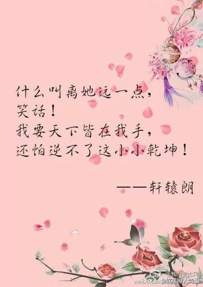 【化情为骨】花千骨◆感动人心?美腻了的句子?