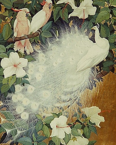 美国画家Jessie Arms Botke杰西·阿姆斯·波特克（1883-1971）出生在芝加哥。Jessie的绘画风格大气典雅，细腻动人，颇有东方工笔画的韵味，她本人称自己为装饰画家。Jessie非常喜欢绘制鸟类，尤其是孔雀。