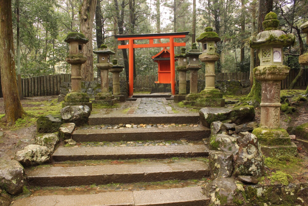 実撮影「森、神社」深い森の中、紅い神社が建てる「みのり様」