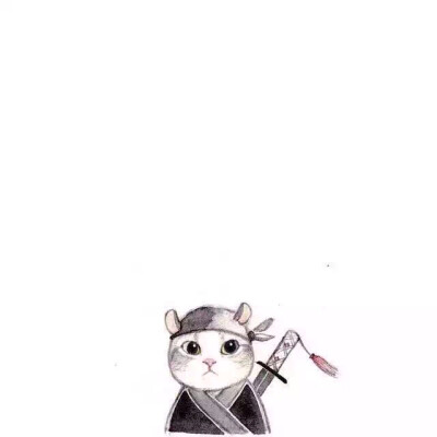 meow #ninja#