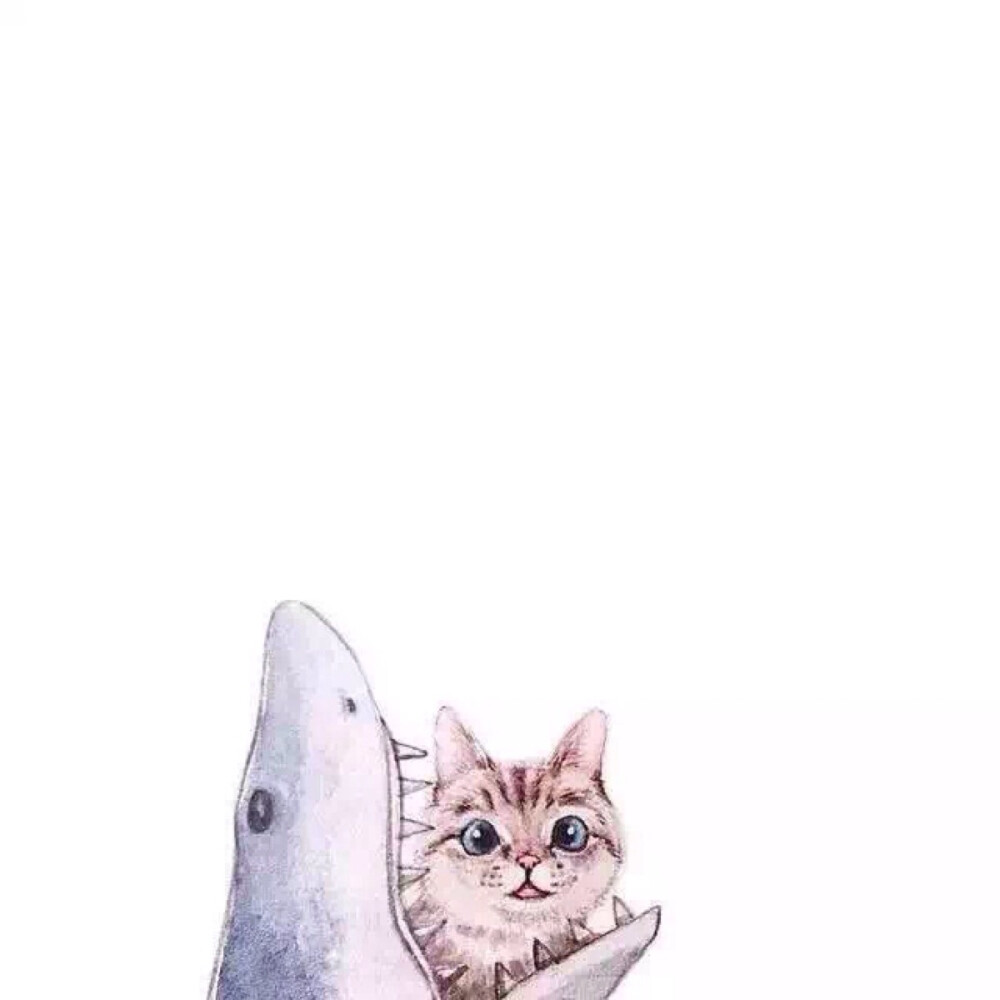 meow #shark#