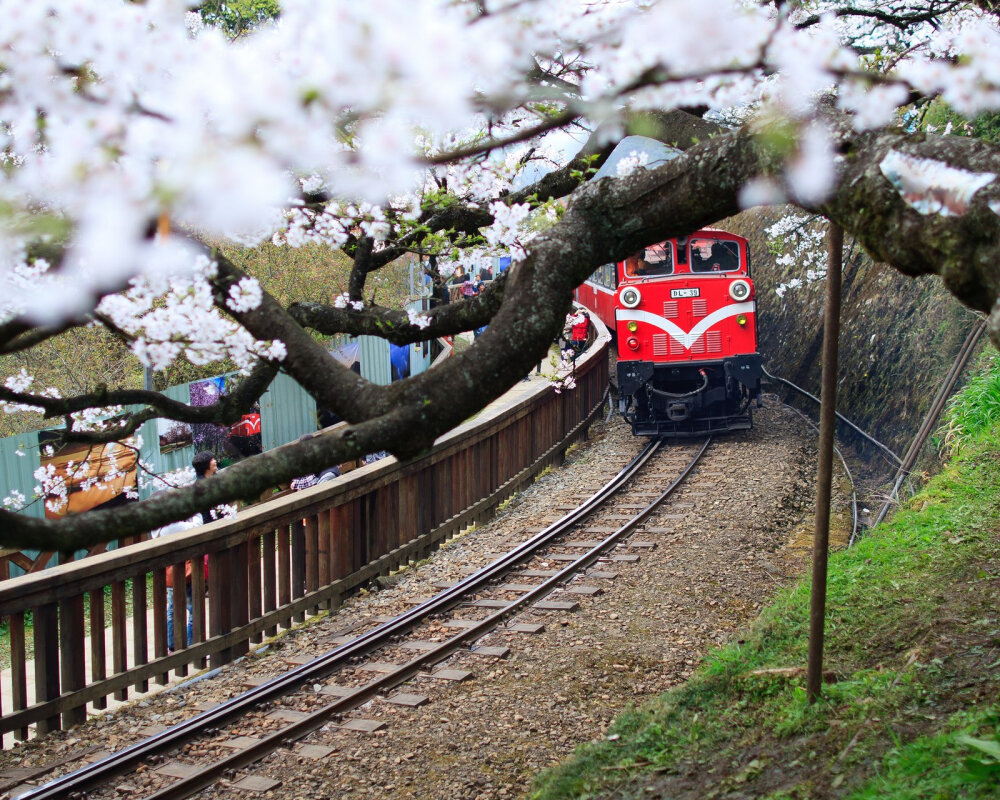 樱花铁道