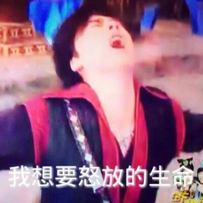 我不是黑粉，我只是觉得有点搞笑！