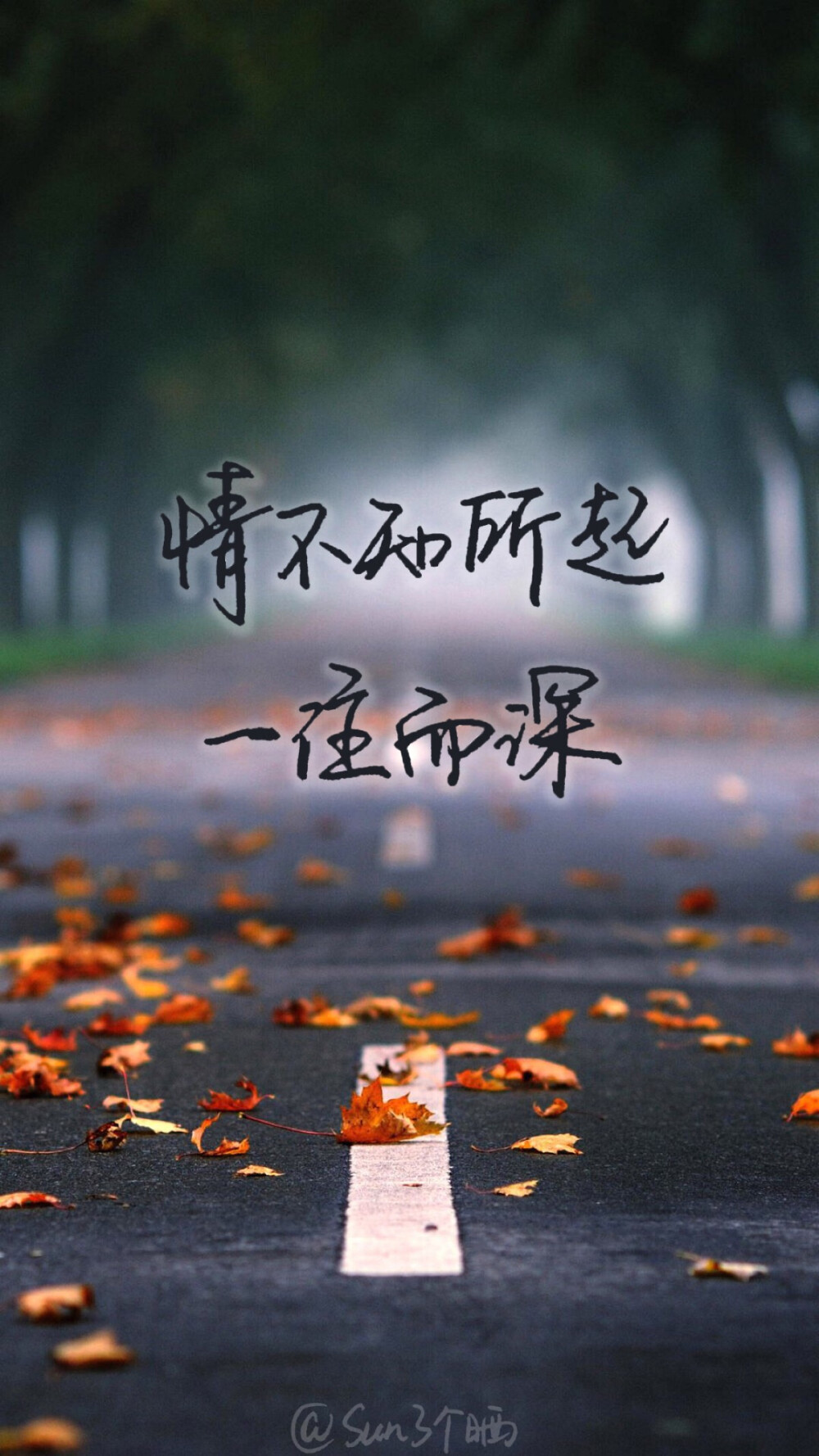 原创手写 文字 句子 温暖 治愈 清新 正能量 励志 iPhone壁纸 文字及图片来自网络 自制壁纸