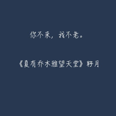 你不来，我不老