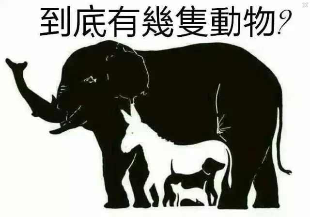 共有7只，你找出几只