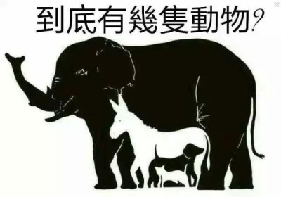 共有7只，你找出几只