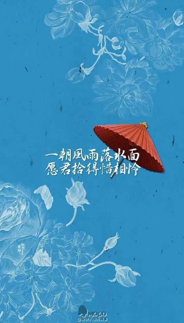 一朝风雨落水面，愿君拾得惜相怜。