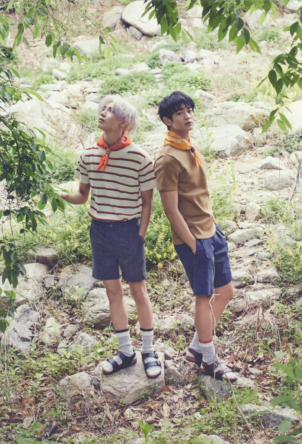 shinee 泰民 珉豪the celebrity 六月刊 高清扫图 cr :locktan_1423