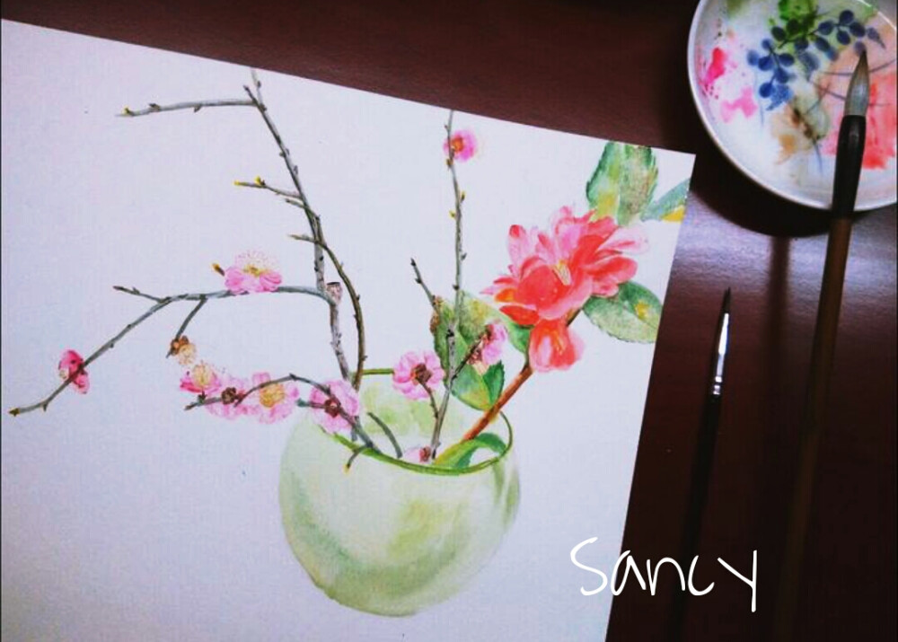 水彩 插画 植物花卉/ 你好，堆糖。