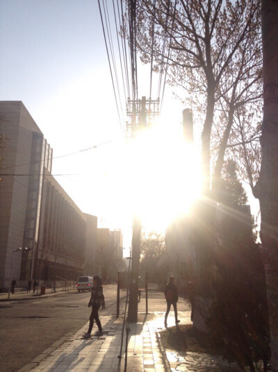 黑龙江大学