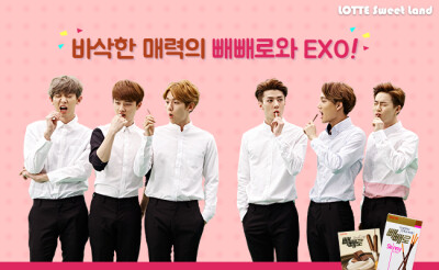 EXO 朴灿烈 Chanyeol 都暻秀 D.O. 边伯贤 Baekhyun 吴世勋 Sehun 金钟仁 Kai 金俊勉 Suho #Lotte sweet land