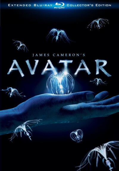 可观：Avatar（2009）。如果在IMAX上看一定很爽