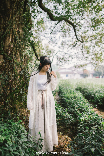 摄影&amp;amp;后期：敏.elena 出镜：粥粥 清风曼徐柳清影， 淡雅芳慧莲伊人。 蹙眉浅笑梅欲放， 紫嫣素灵薰红颜。