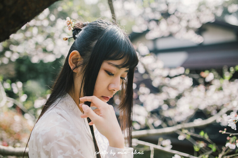 摄影&amp;amp;后期：敏.elena 出镜：粥粥 清风曼徐柳清影， 淡雅芳慧莲伊人。 蹙眉浅笑梅欲放， 紫嫣素灵薰红颜。