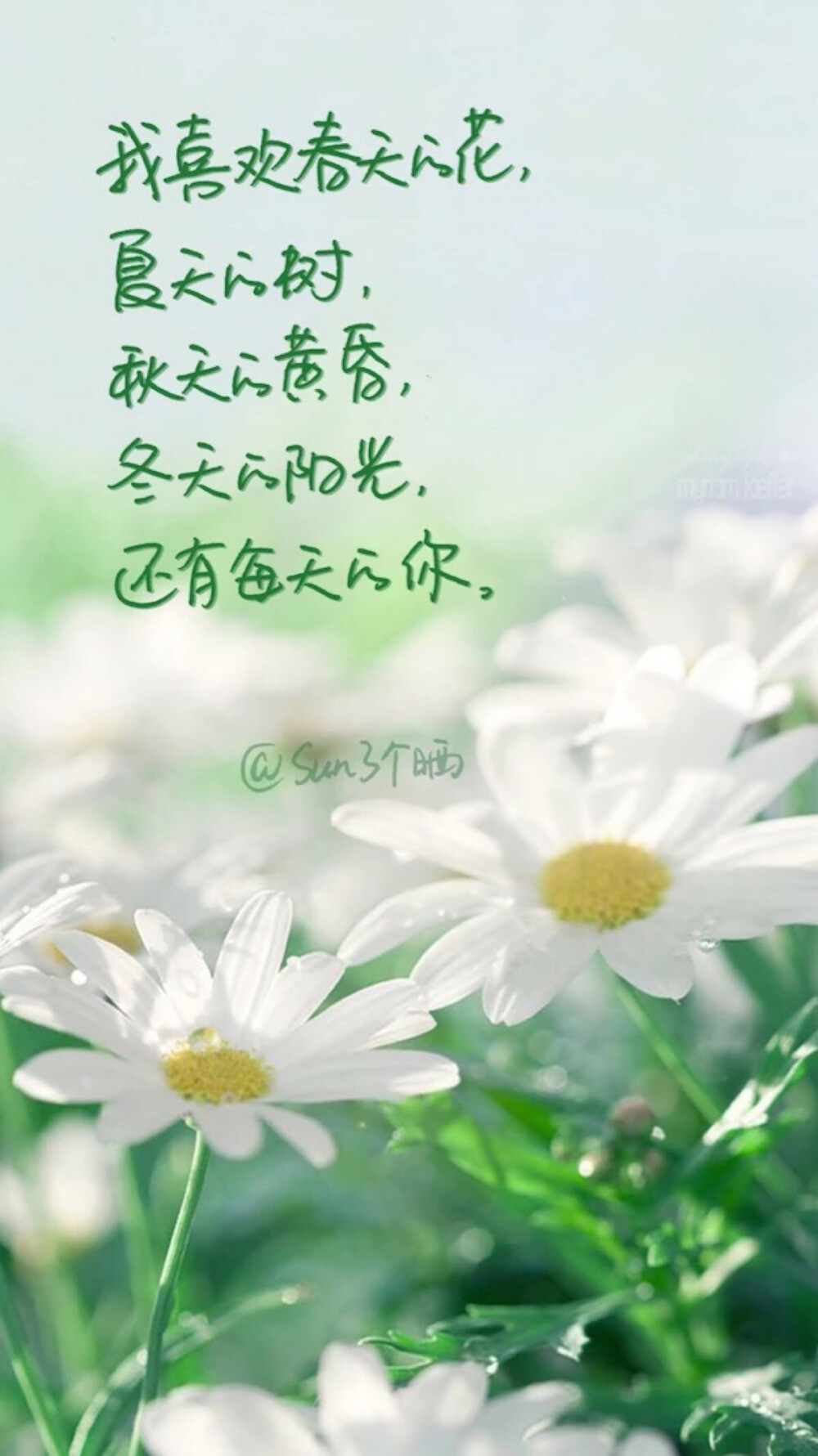 手写和文字超配哒啦！