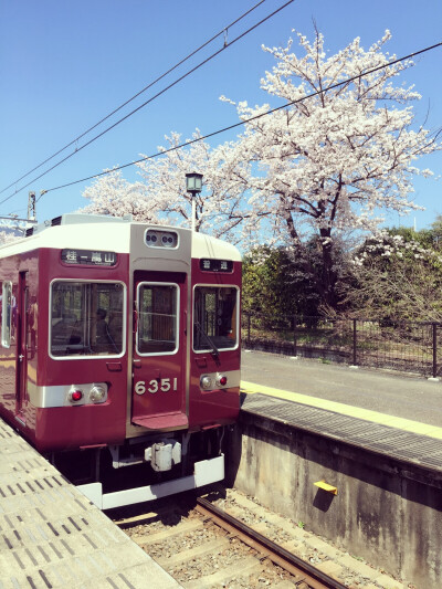 実撮影「春、列車、京都」何処までも続いてく旅「みのり様」